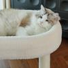 Marco de escalada para gatos, Cama para gatos, Rascador de sisal integrado para gatos, Árbol para gatos resistente a los arañazos y que no suelta pelo, Juguete para gatos para entretener a los gatos