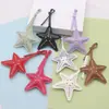 Pingente Estrela Estéreo Multicor com Rebite Dupla Face Estilo Miu para Pendurar na Bolsa Pingente Colorido Estilo Ins Atacado