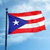 Bandeira de Porto Rico Banner Fibra de Poliéster 100D 3x5 Pés Poliéster Feito Sob Medida