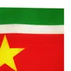 Bandera de Surinam Bandera para Agitar a Mano No. 8 Banderas de Poliéster Bandera de Campaña Personalizada 14x21cm Bandera para Agitar a Mano Fabricante Venta al por Mayor