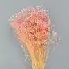 Arranjo de Flores para Decoração de Casa, Estilo Fresco e Natural, Flores Preservadas, Buquê Sonhador de Gipsofila Estrelada Atacado