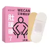 Patch Térmico para Barriga de Losna Patch Térmico para Aquecimento Patch de Moxabustão Herbal Patch Térmico Autocaleante para Barriga Patch de Moxabustão Patch Térmico para Aquecimento Fábrica Personalizado Atacado