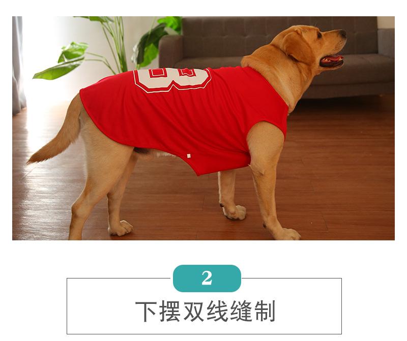 未标题-1_08.jpg