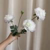 [Material de flor blanca] Arreglo floral de hortensia, rosa, flor de pasto escarchado con decoración de material de hoja de niebla de techo de pasto, flor de simulación para boda