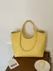 Moda Exquisita Transfronteriza Estilo de Alta Gama 2026 Nuevo Bolso Tote de Hombro Único para Mujer Diseño Sencillo de Nicho Primavera/Verano