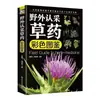 Completa 3 Volúmenes de Ilustraciones Coloridas de Identificación de Medicina Herbal Silvestre, Medicina Herbal de Shennong, Enciclopedia de Medicina Herbal China, Identificación de Plantas Medicinales