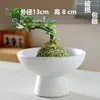 Kenzan Criativo Vaso Arranjador de Flores Cerâmica Íris Pau-Brasil Recipiente Bola de Musgo Fruteira Mesa Fabricante Pintura Colorida