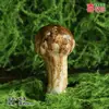 Modelo de Hongo Hongo Silvestre de Yunnan Espécimen Falso Adorno Decoración Escena Montaje Accesorios para Disparar Matsutake