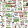 32 Adesivos de Anatomia Muscular Humana, Enciclopédia de Conhecimento Médico, Adesivos de Ajuste de Postura, Notas Autoadesivas para Caderno, Adesivos de Parede