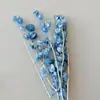 Linterna de Flor Eterna Fruta en stock para venta al por mayor, fruta de gelatina, flor de campanilla de viento, decoración de hotel y casa de huéspedes, arreglos florales, materiales florales para bodas