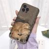Aplicável à capa de celular de animal engraçada e fofa para iPhone 15