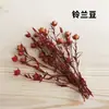 Materiais DIY de Flores Secas, Velas Perfumadas Decorativas, Buquês de Flores Secas de Cera de Soja Feitos à Mão, Flores Naturais Reais, Rodelas de Limão, Canela