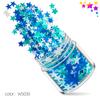 Lentejuelas Mixtas de Estrella de Cinco Puntas Fluorescentes de 5 mm 12 Colores Set de Lentejuelas para Arte de Uñas Celebrante Neto Joyería para Arte de Uñas Taladro Pegatina para Uñas
