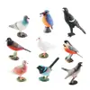 Set de 9 Figuras de Pájaros Modelos Realistas de Aves Silvestres de PVC Incluye Martín Pescador Urraca Paloma y Más Juguetes Educativos de Animales y Decoración de Naturaleza