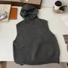 Otoño/Invierno 2025 Estilo Coreano Simple Casual Versátil Chaleco de Punto con Capucha Color Sólido Capas Básico Cálido para Mujer 8238