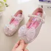 Sapatos de Couro para Meninas 2025 Novidades de Primavera Sapatos Infantis Sapatos Individuais de Princesa Elsa Menininha Estilosos Solado Macio Sapatos de Bebê