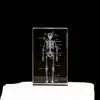 Modelo de Esqueleto Humano de Cristal Grabado con Láser 3D Modelo de Órganos Cerebro y Corazón Anatomía Adorno de Enseñanza Médica