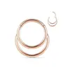 Aço Inoxidável 316 Argola Fechada para Nariz Septo Nasal Brincos com Zircônia Inserida Argola para Cartilagem da Orelha Conch Joias para Piercing