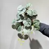 Colgante de Pared de Planta Verde Artificial, Bambú con Hojas de Siete Estrellas, Decoración de Micro-Paisaje Colgante de Pared, Decoración Suave, Adorno de Planta Falsa