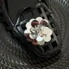 Acessórios de Flor de Sapato de Cristal Resistentes Estilo Coreano com Lantejoulas Bordadas, Franjas de Cristal Exquisite de Estilo Leve de Luxo