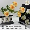 Novo Modelo de Rosas de Espuma com 5 Cabeças, Arranjos de Flores Artificiais de Rosa, Flores para Cenário de Casamento, Decorações de Flores Artificiais para Casa e Exterior Atacado