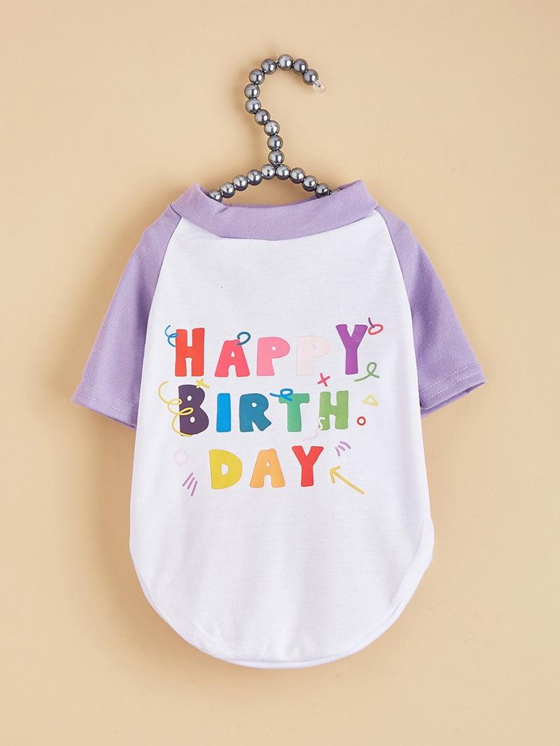 2Z5A5643背图 (1) - 副本