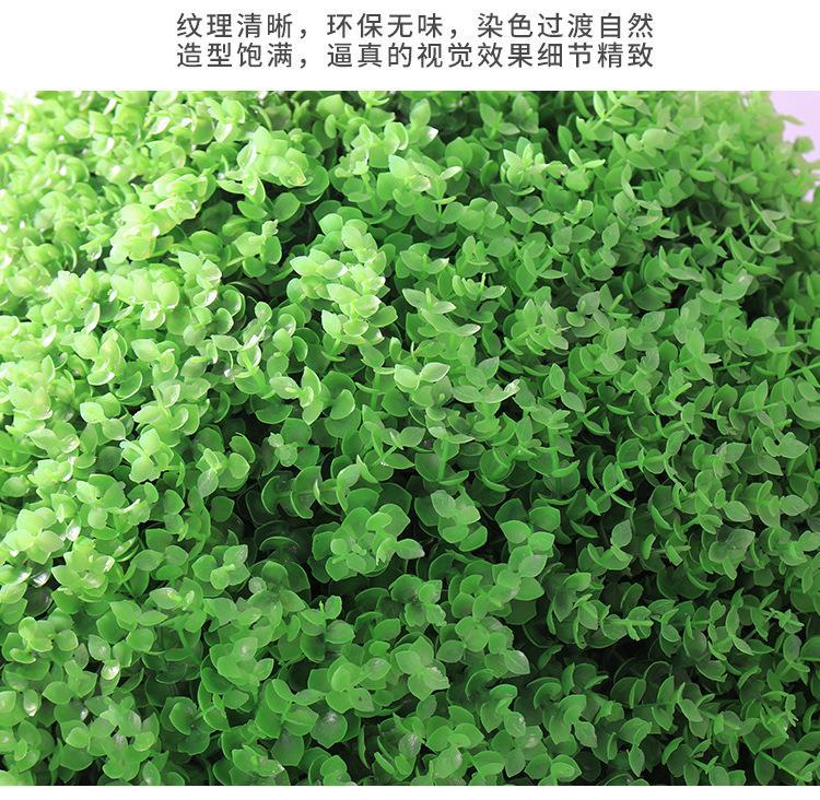详情-10.jpg