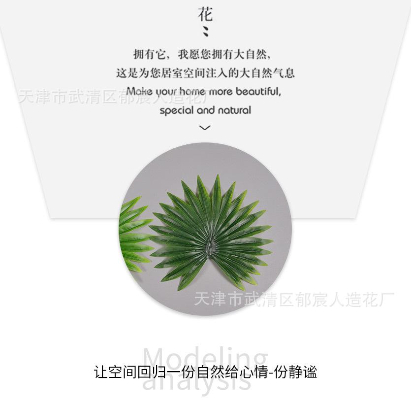 详情_05.jpg