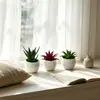 Mini plantas suculentas artificiales de maceta transfronterizas para decoración del hogar, plantas falsas, bonsáis pequeños, adornos de plantas verdes de escritorio para oficina y restaurante
