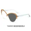 Óculos Retro com Lentes que Mudam de Cor Anti-Luz Azul para Mulheres, Óculos de Sol Europeus e Americanos de Cat-Eye Planos, Podem ser Combinados com Graus de Miopia, Atacado de Fabricante