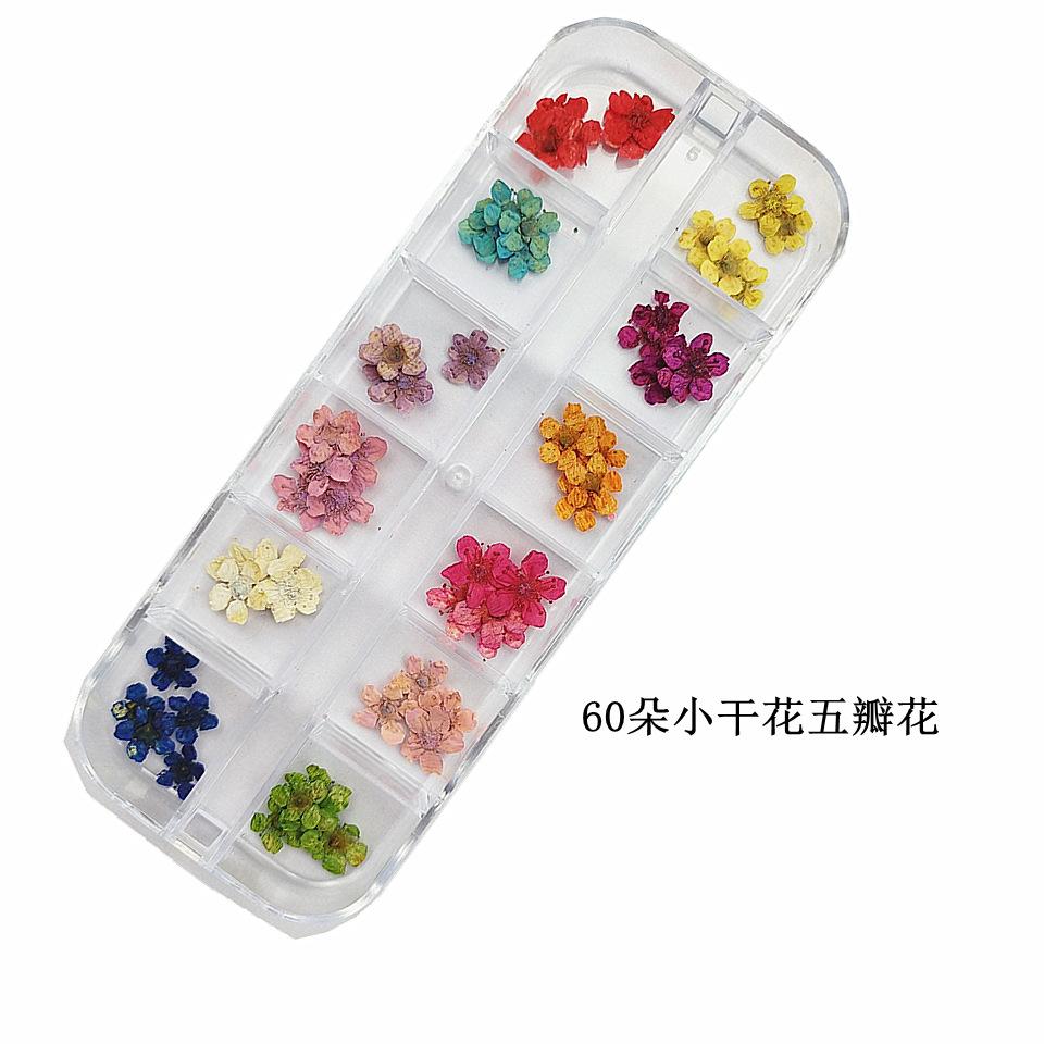 60朵小干花