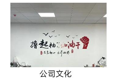 公司文化