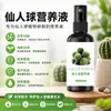 Solución Nutritiva Especial para Enraizamiento de Cactus Fertilizante Mejora del Color Fertilización Suculentas Anti-Marchitamiento Planta en Maceta Fertilizante Líquido Propósito General