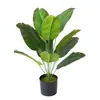 Simulação Bonsai Plantio Verde Viajante Banana Ave do Paraíso Banana Nórdica Folha de Banana Plantio Verde Decoração de Jardim Buquê Paisagismo Árvore Artificial