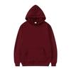 Suéter liso fijo Z para hombre y mujer, suéter de color liso, sudadera con capucha impresa, talla europea, sudadera con capucha casual holgada