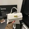 Mini Bolso Kelly de Textura Tejida para Mujer Bolso de Hombro Único Bolso de Mano de Moda Bolso Cuadrado Pequeño Estilo Coreano Bolso de Mano Cruzado de Nicho