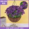 Plantas Colgantes Artificiales Colgantes de Pared Lirio Cesta Pequeña de Flores Flores Falsas Margarita Pequeña Flor de Gloria de la Mañana Rama Decoración del Hogar