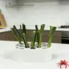 Caja de cultivo hidropónico multiagujero para plántulas de cebolleta, macetas hidropónicas caseras para cebolletas, jengibre y ajo, macetas hidropónicas de cocina para interiores para verduras, en stock