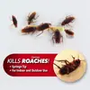 Medicina para Cucarachas, Repelente de Insectos y Eliminación de Cucarachas, Tipo Jeringa Cloroetanol para Matar Cucarachas Dispositivo de Cebo en Gel Tarjeta de Succión para TV