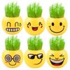 Expresión de Cara Sonriente Planta en Maceta DIY, Manualidades de Muñeco de Hierba, Decoraciones de Micropaisaje, Plantas en Maceta, Flores, Fácil de Vivir y Fácil de Mantener