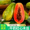 Dropshipping Corazón Rojo Leche Papaya Fruta Fresca Envío Gratis Fruta de Temporada para Mujeres Embarazadas Azúcar de Roca Cáscara Verde Nieve Papaya