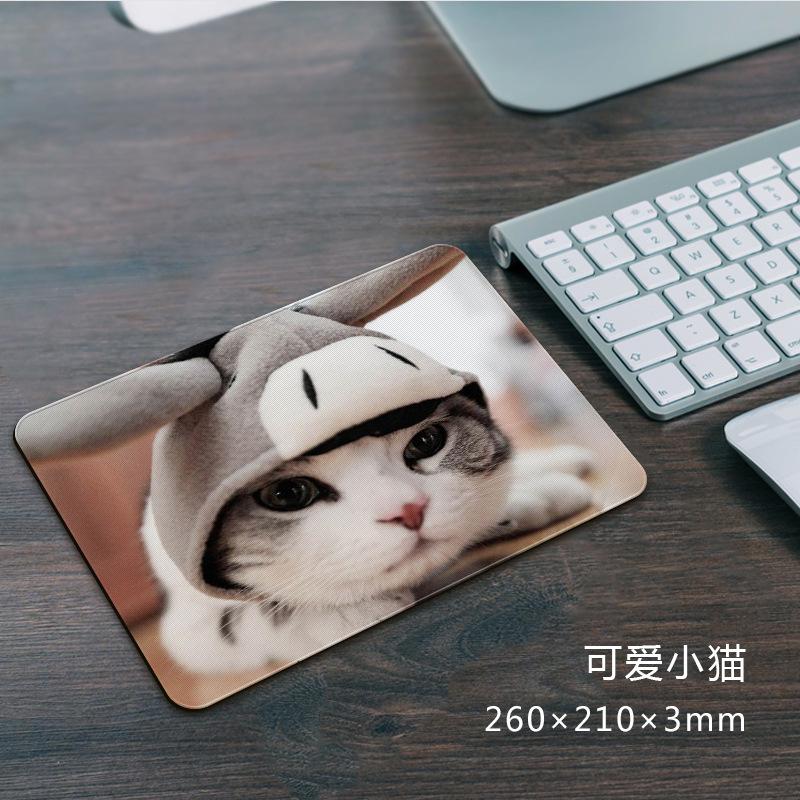 可爱小猫