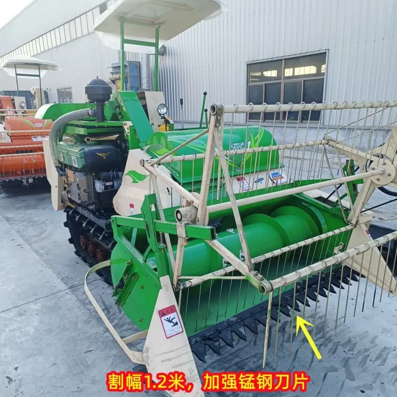 微信图片_20250113164638_副本