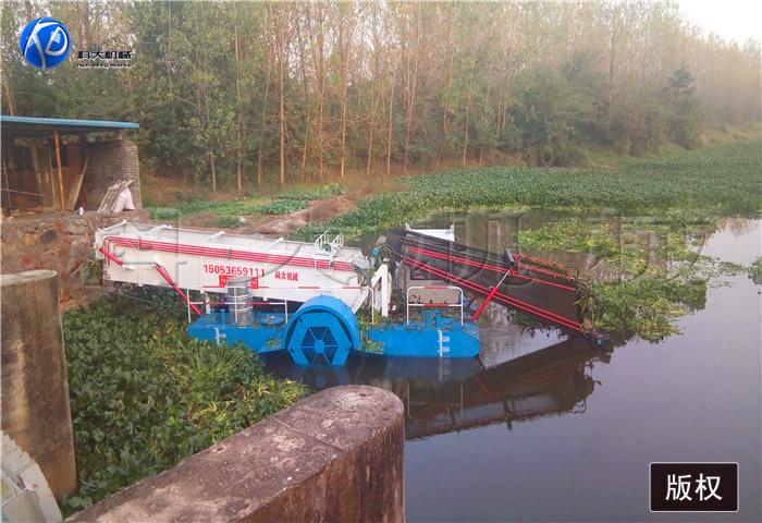 15湖北咸宁水葫芦打捞船 (5).jpg