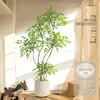 Planta Nandina Aterrizaje Planta en Maceta Interior Grande Biónica Verde Adornos Sala de Estar Lujo Ligero Flor Decorativa Árbol Falso