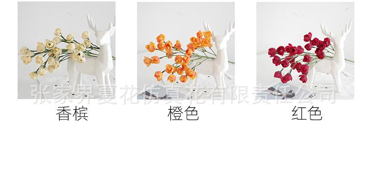 详情图_07.jpg