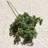 Ramo Único 8 Pontas Espuma Espinho Fruta Flor Artificial Flor Falsa Decoração Suave para Casa Casamento Hotel Fotografia Materiais para Arranjo Floral