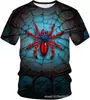 Divertido Estampado de Araña Impreso en 3D Transfronterizo Nuevo Estilo Suéter Casual para Hombre Camiseta de Manga Corta con Cuello Redondo Venta Directa de Fábrica