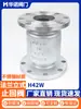 Válvula de Retención Vertical de Acero Inoxidable H42W 16P 304 Brida Válvula de Retención Unidireccional Dn50 Dn100 Dn200