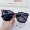 P28300 café arena TR polarizado Gafas de sol plegables protección solar conducción retro moderno protección UV pequeño y fácil de llevar